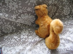 SQUIRREL VIEW A_06